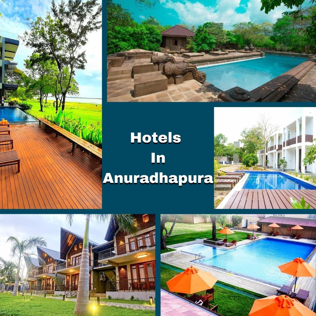 hotels